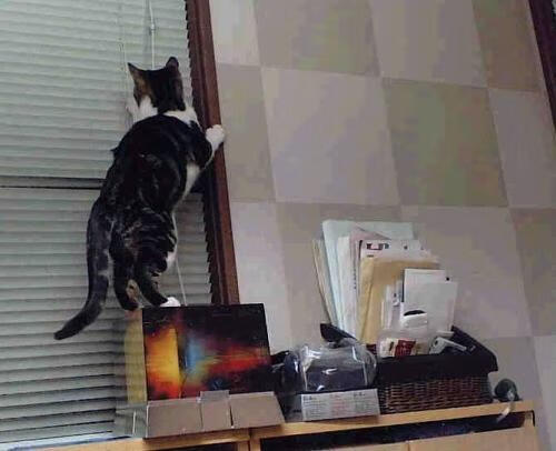 理想闪耀与冰冷现实,马丁内利画布上的足球悖论