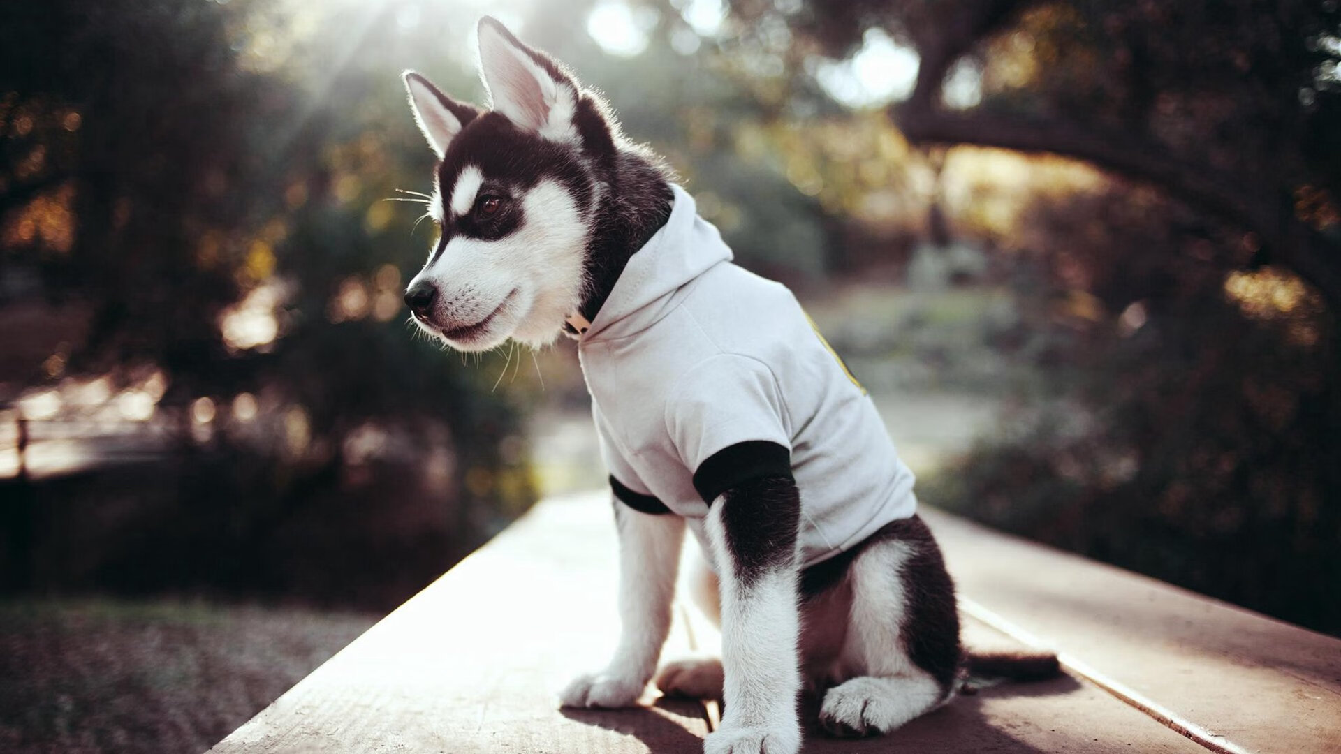 安哥拉巨浪熄灭红龙！无名军团制霸绿茵，凯恩的孤独王座