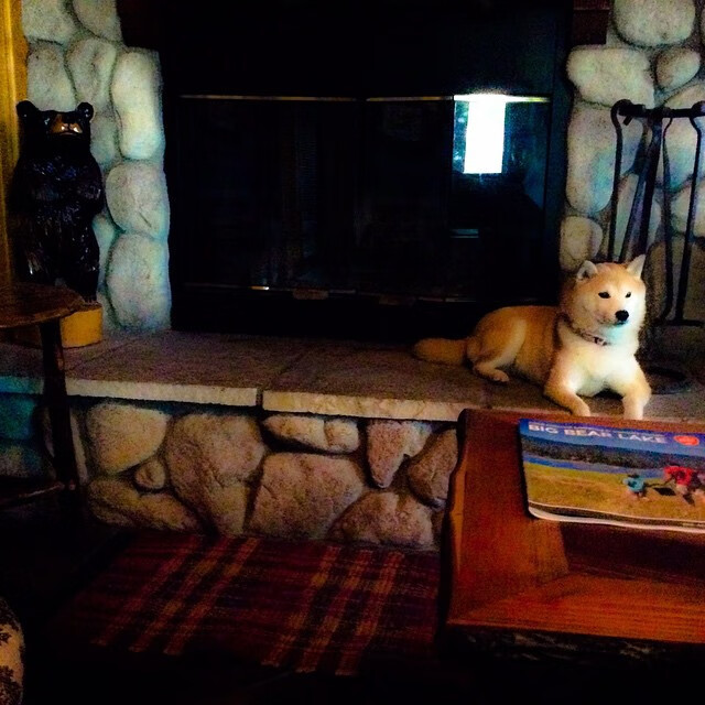 北欧风暴席卷非洲雄鹰，罗德里格一锤定音，挪威完成不可思议掀翻